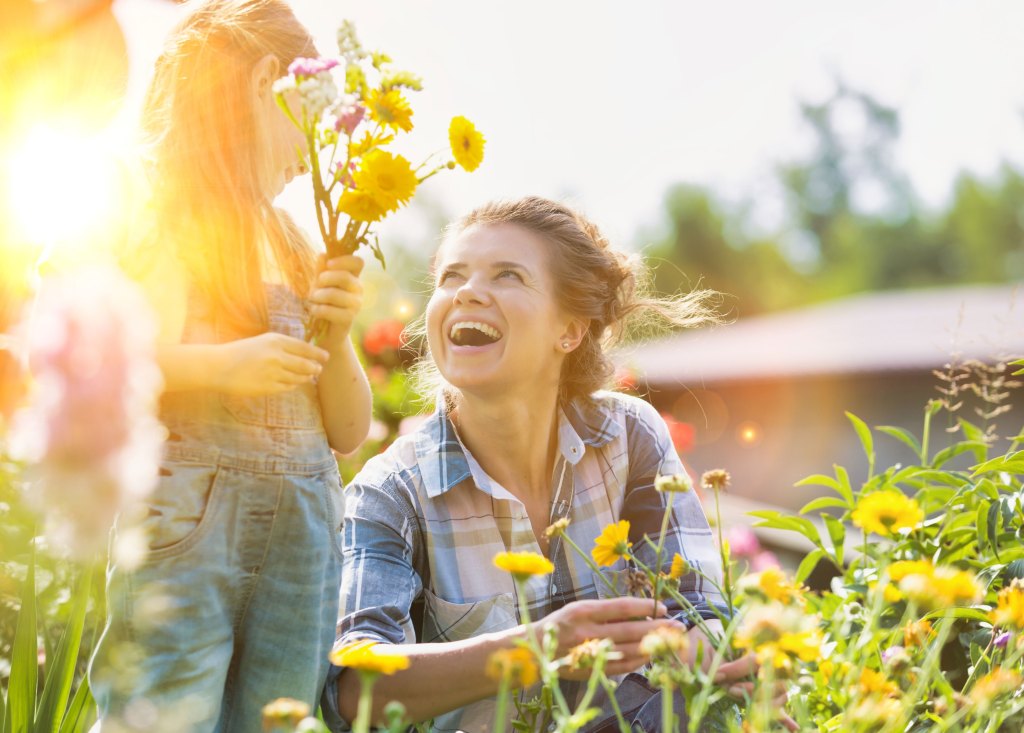 Mother and daughter picking pretty colourful flowers in their organic garden with yellow lens flare in background.