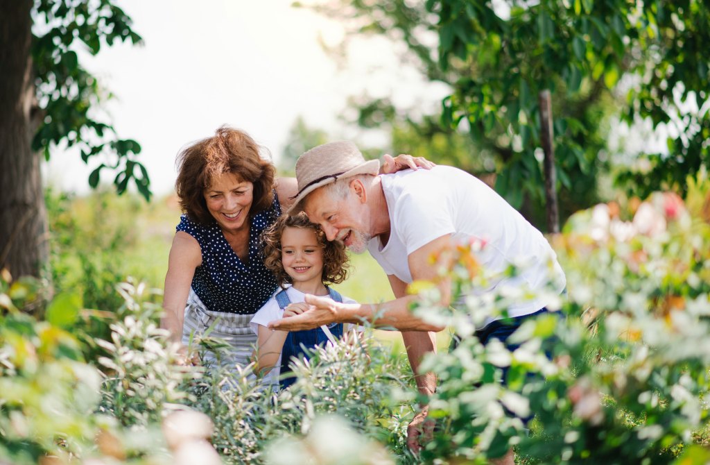 A man and woman walk in a home garden with their granddaughter.