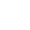 A shield with a check in the middle.