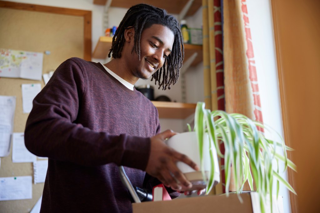 A male university student moves into an apartment and unpacks a plant.